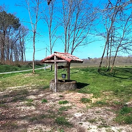D'hotes Arremounon B&B Lamothe (Landes)