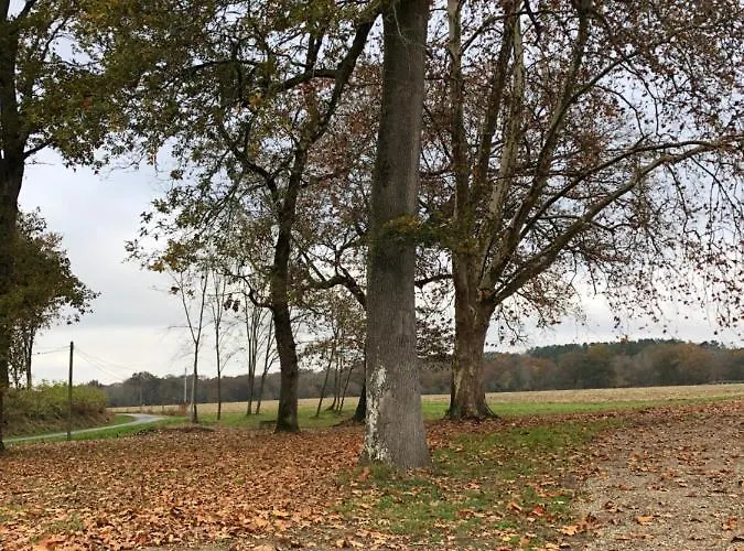 D'hotes Arremounon Lamothe (Landes)